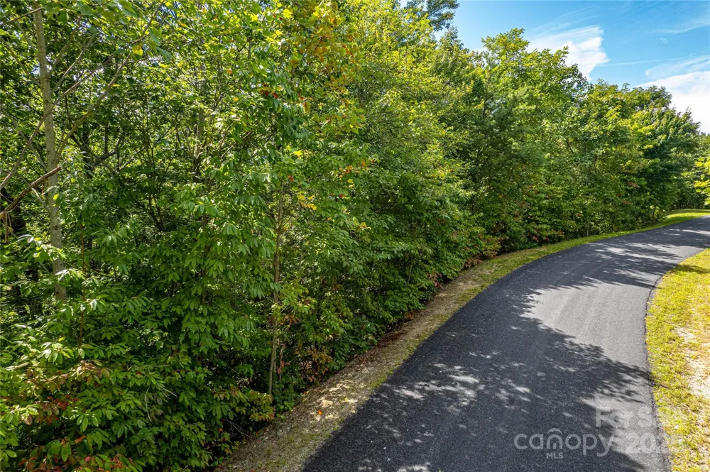 579 Bluemist Way Arden, NC 28704