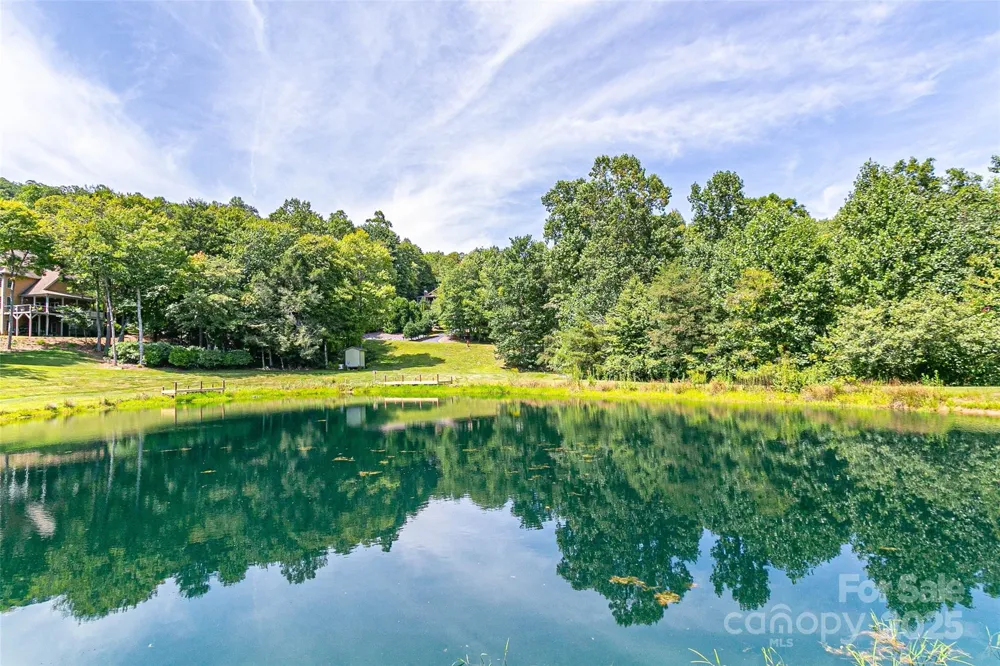 579 Bluemist Way Arden, NC 28704