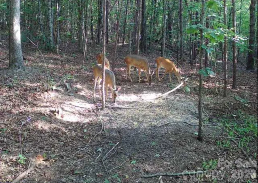 V/L Southern Way Nebo, NC 28761