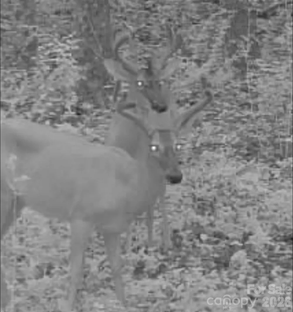 V/L Southern Way Nebo, NC 28761