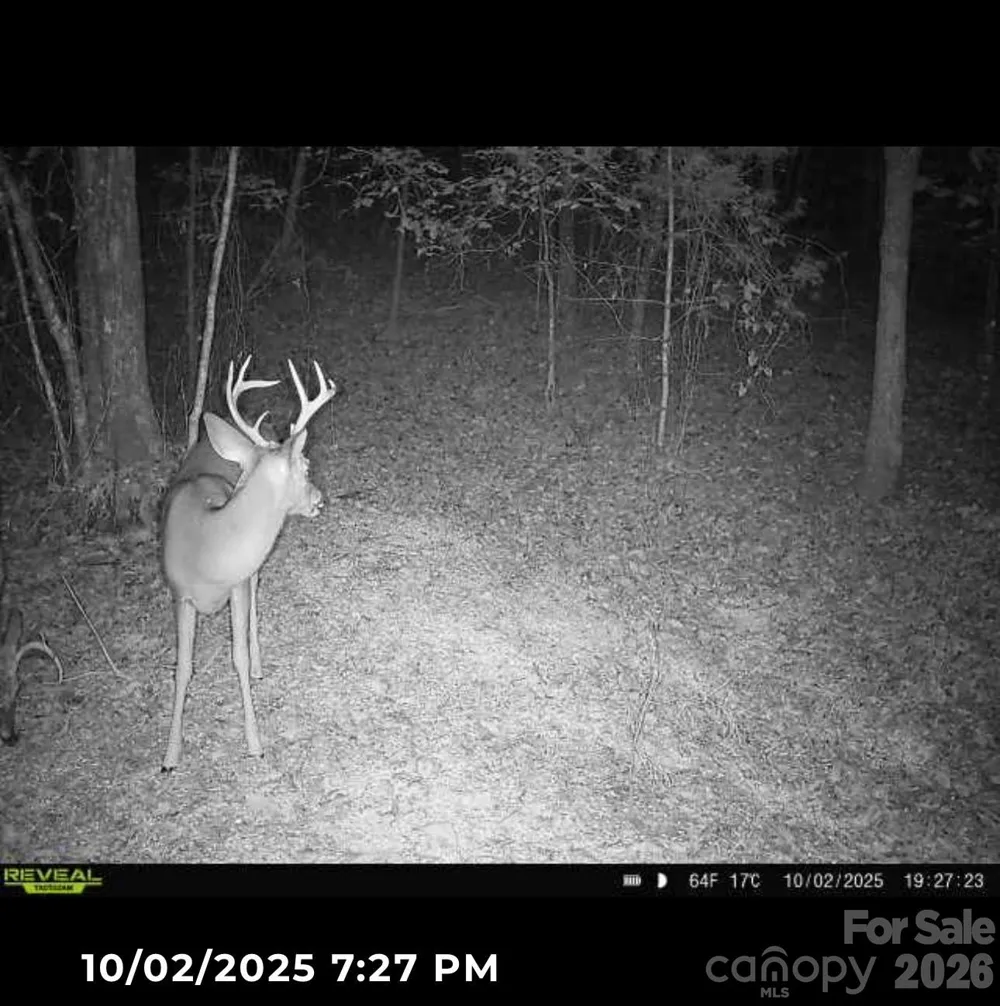 V/L Southern Way Nebo, NC 28761