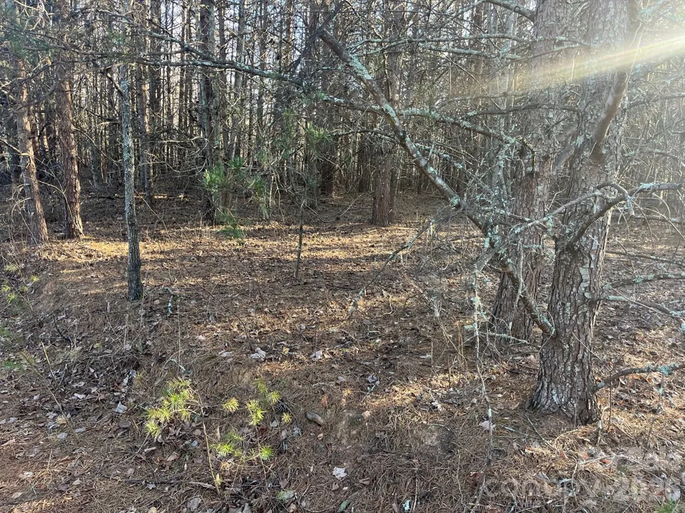 V/L Southern Way Nebo, NC 28761