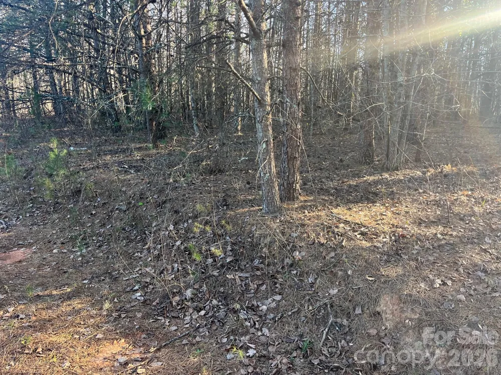 V/L Southern Way Nebo, NC 28761