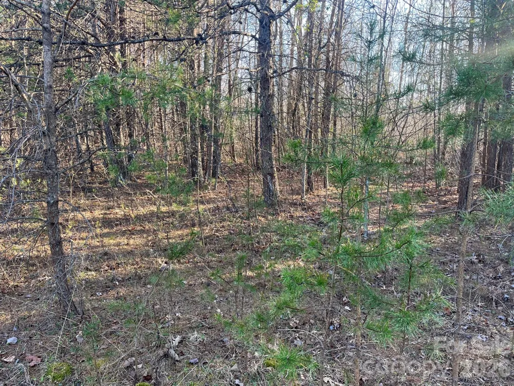 V/L Southern Way Nebo, NC 28761