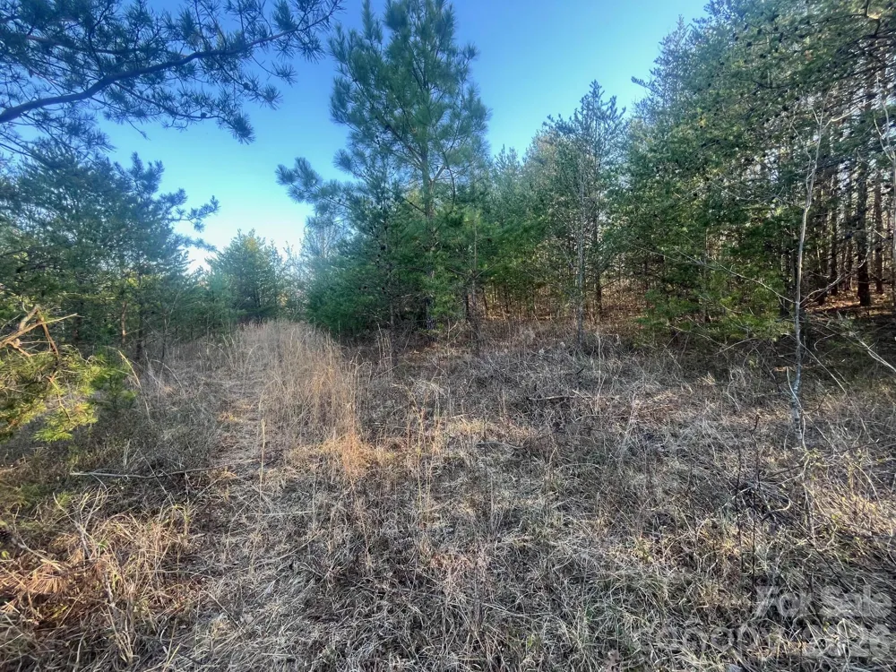 V/L Southern Way Nebo, NC 28761