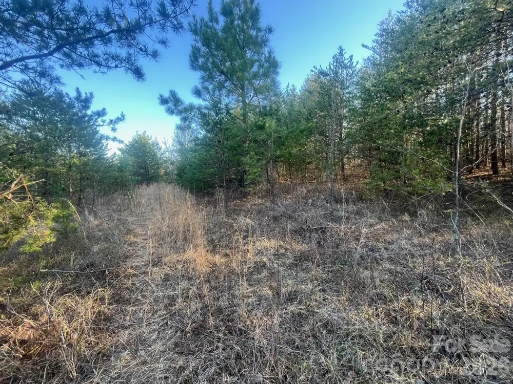 V/L Southern Way Nebo, NC 28761