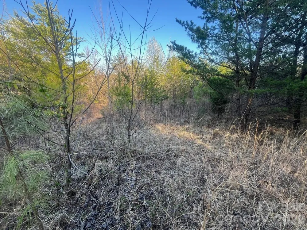 V/L Southern Way Nebo, NC 28761