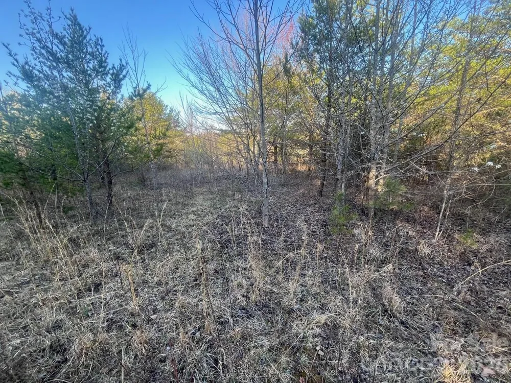 V/L Southern Way Nebo, NC 28761