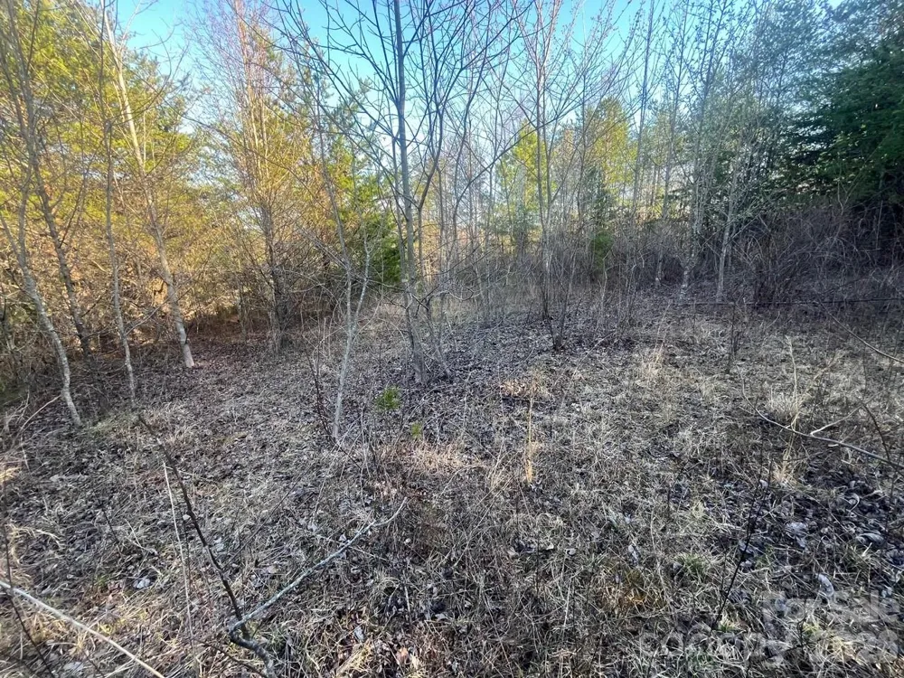 V/L Southern Way Nebo, NC 28761