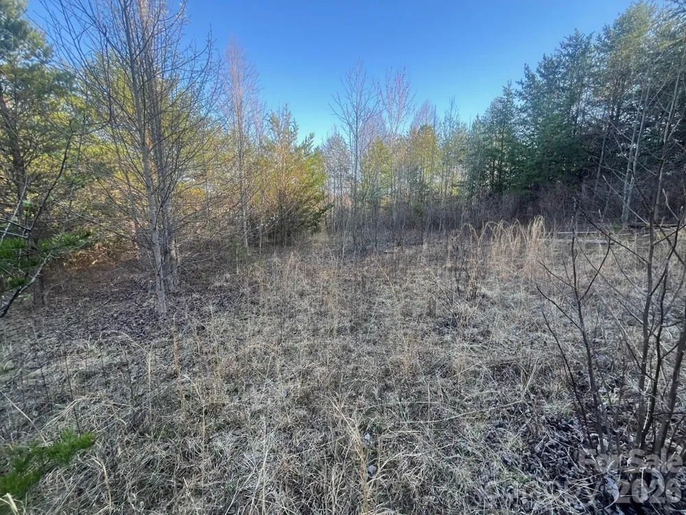 V/L Southern Way Nebo, NC 28761