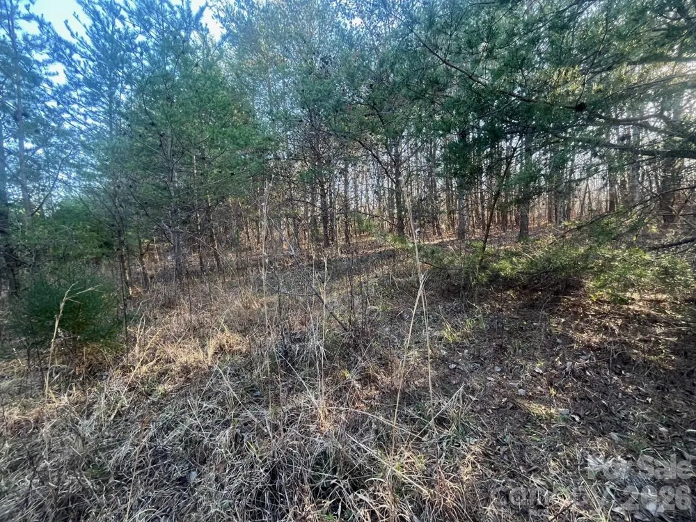 V/L Southern Way Nebo, NC 28761