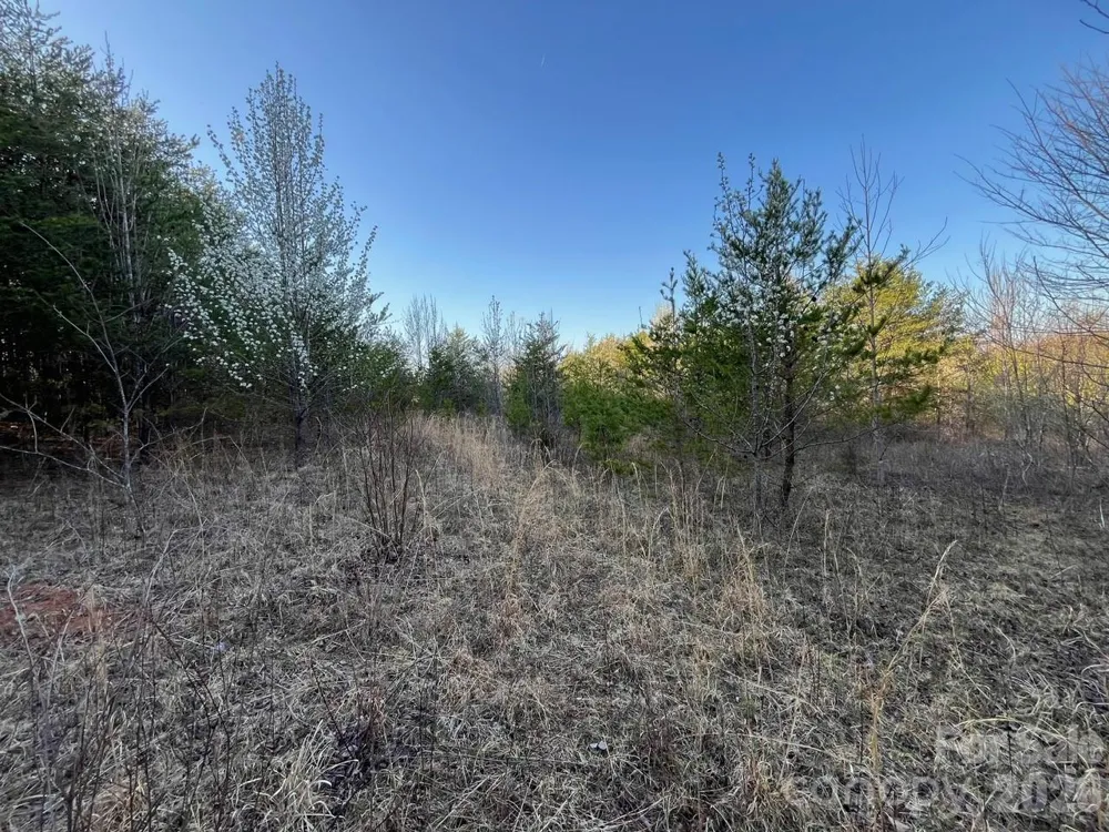 V/L Southern Way Nebo, NC 28761