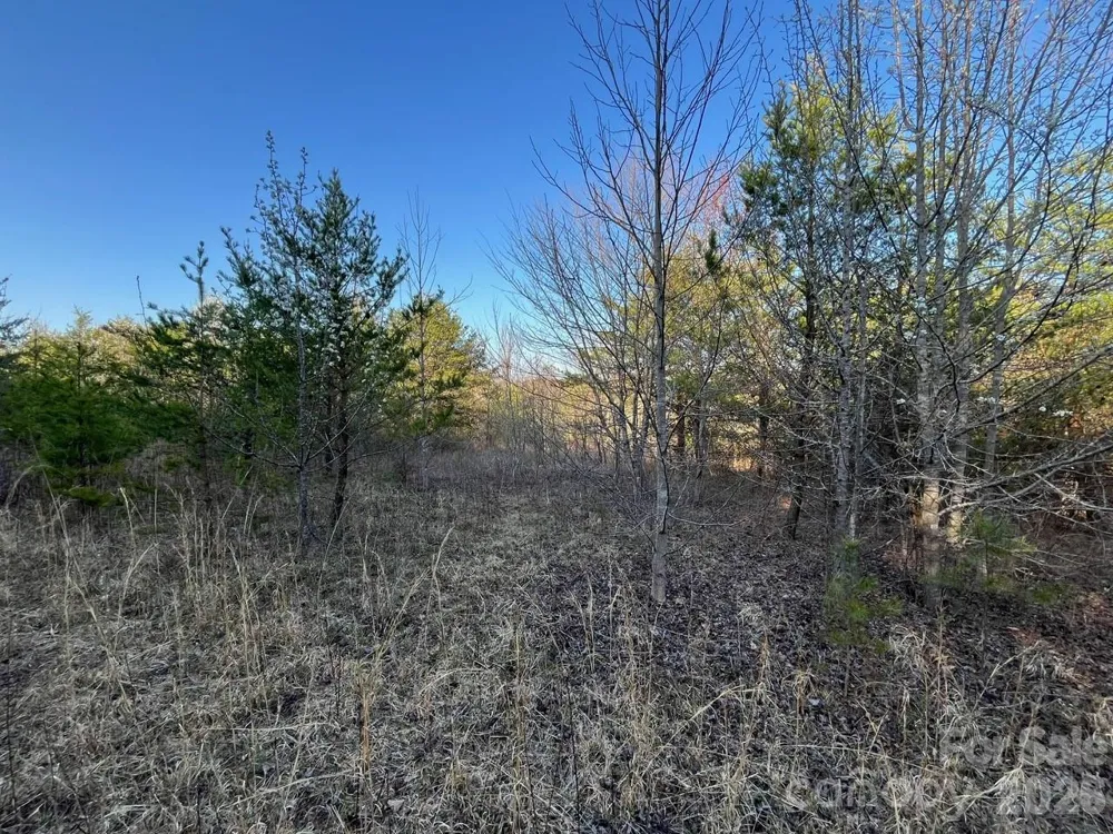 V/L Southern Way Nebo, NC 28761