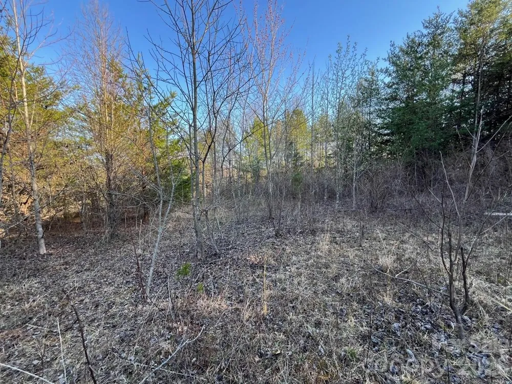 V/L Southern Way Nebo, NC 28761