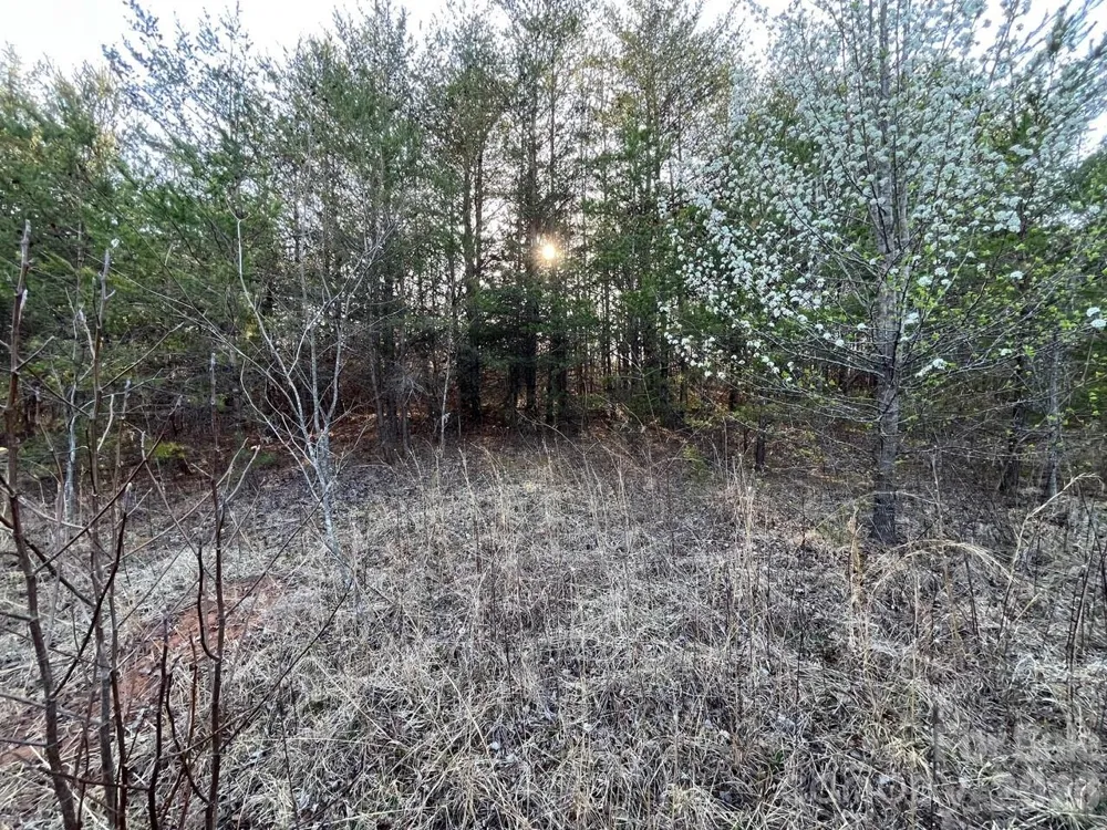 V/L Southern Way Nebo, NC 28761