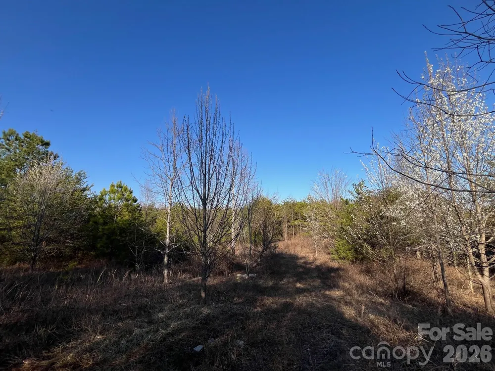 V/L Southern Way Nebo, NC 28761