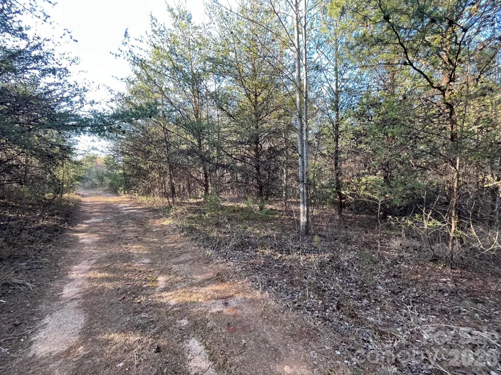 V/L Southern Way Nebo, NC 28761
