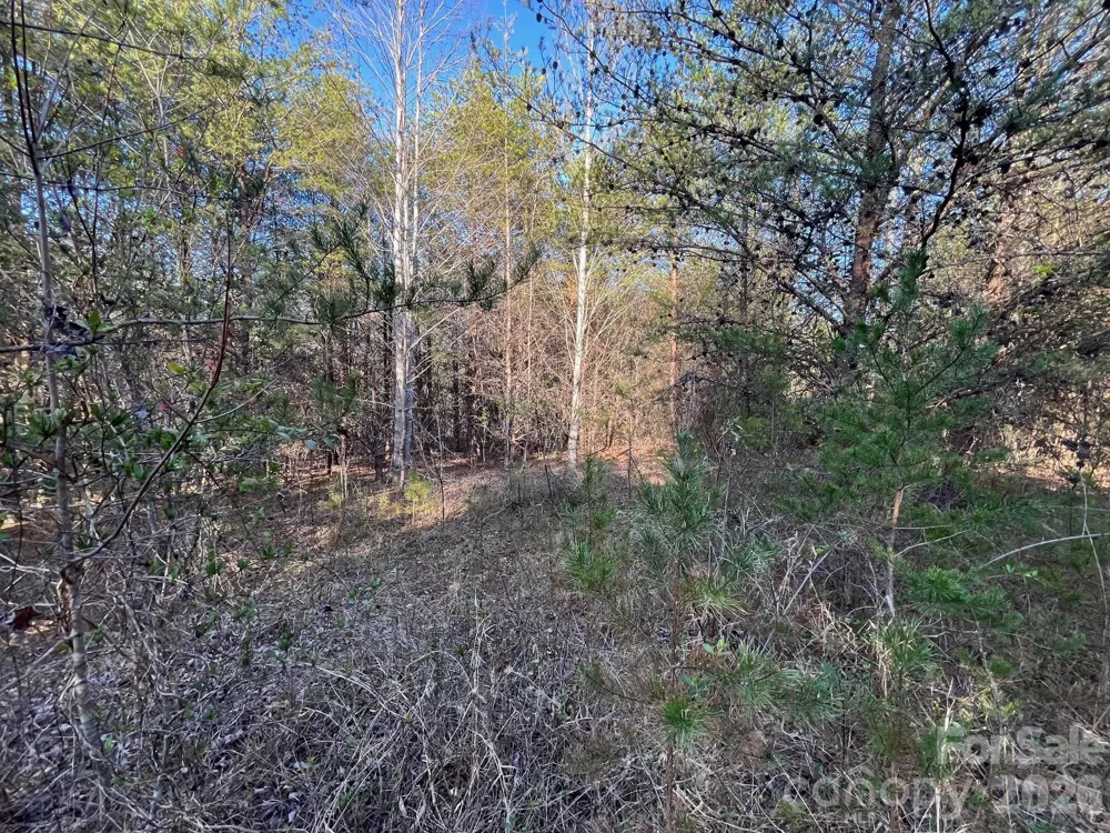 V/L Southern Way Nebo, NC 28761