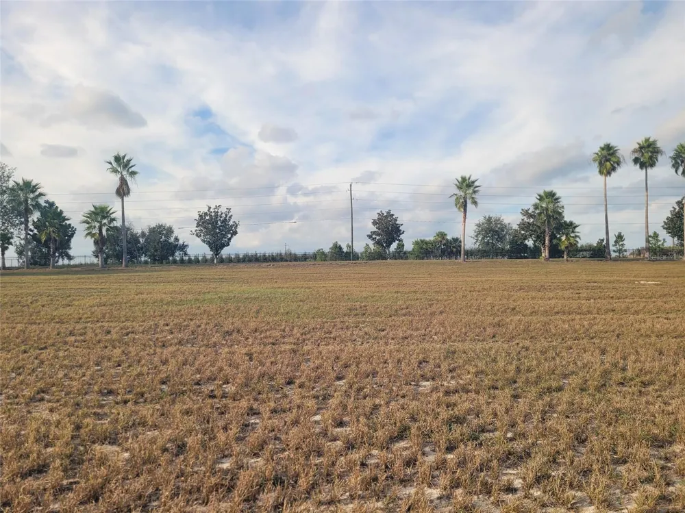 7425 JASMINE STREET Groveland, FL 34736