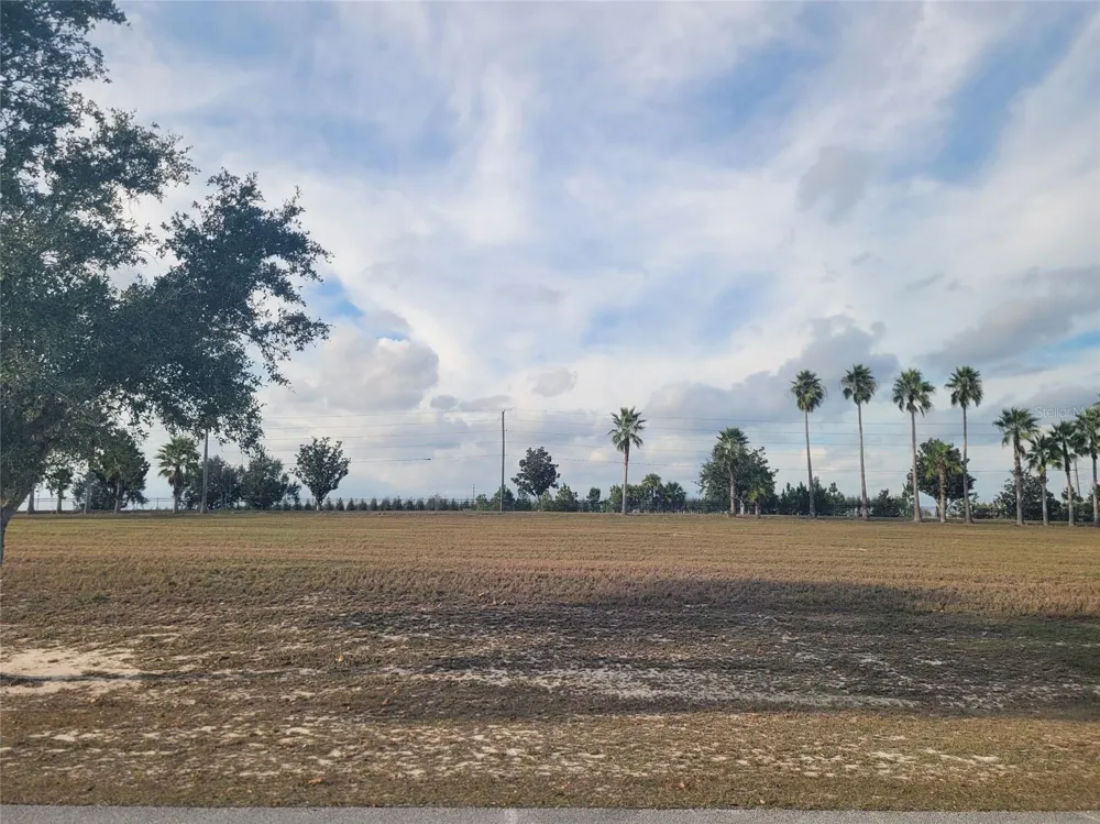 7425 JASMINE STREET Groveland, FL 34736