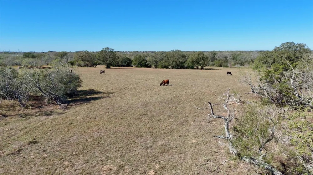 7180 CR 283 Harwood, TX 78632