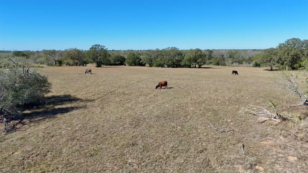 7180 County Road 283 Harwood, TX 78632
