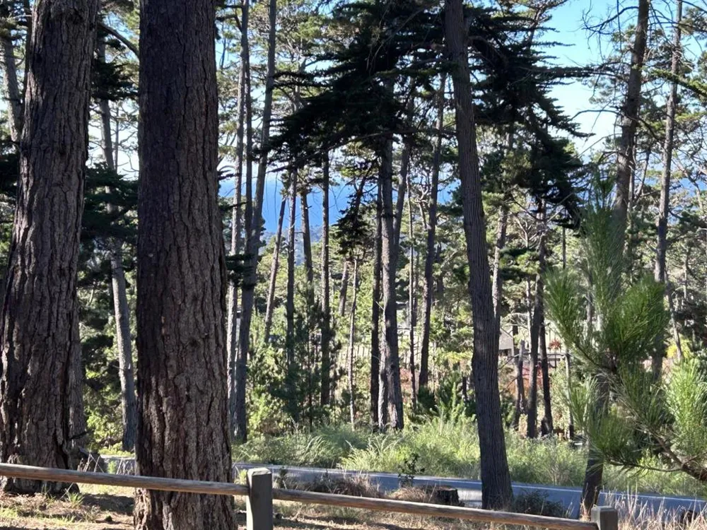 4021 Sunridge Road Pebble Beach, CA 93953