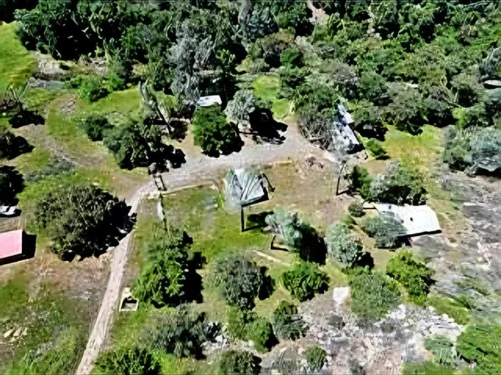 Tule Springs Road Julian, CA 92036
