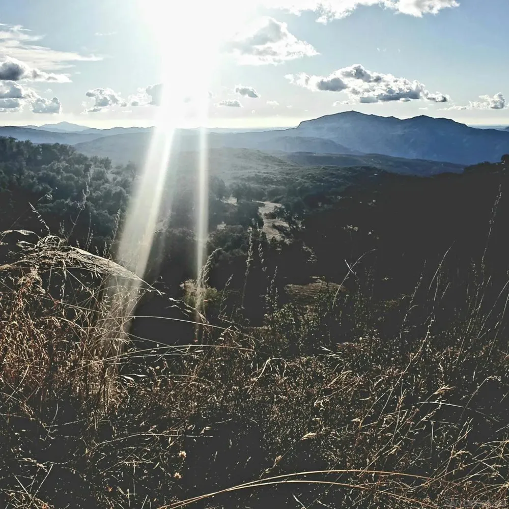 Tule Springs Road Julian, CA 92036