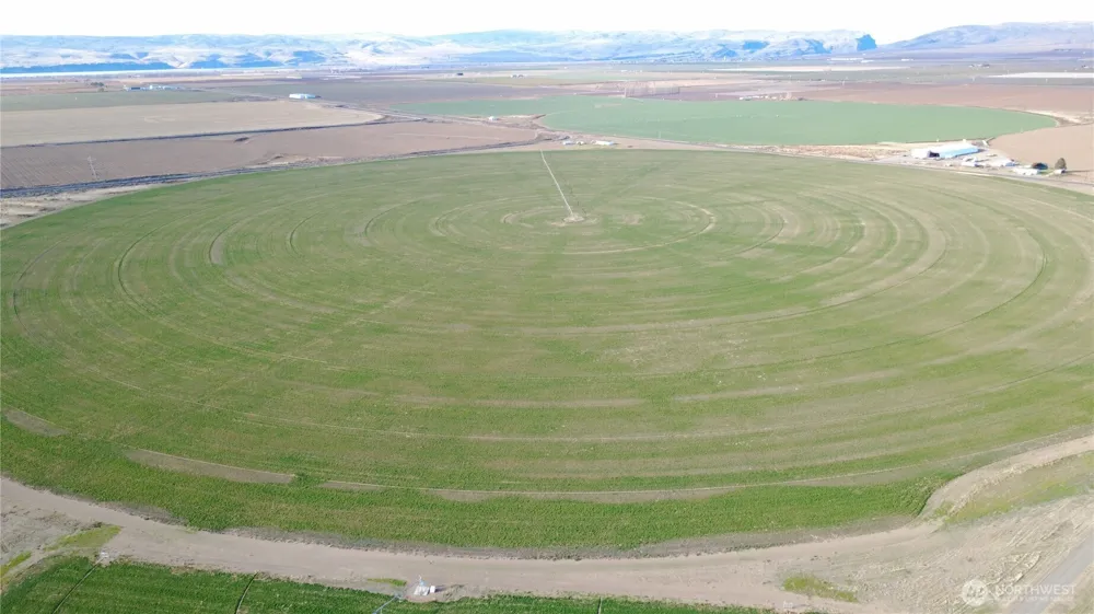 0 NKA Road 27 SW & Road P SW Mattawa, WA 99349
