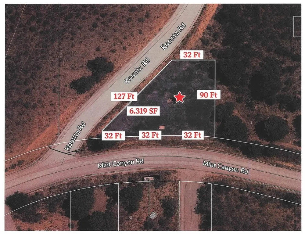 Vac/Cor Mint Cyn (Pav) Koontz