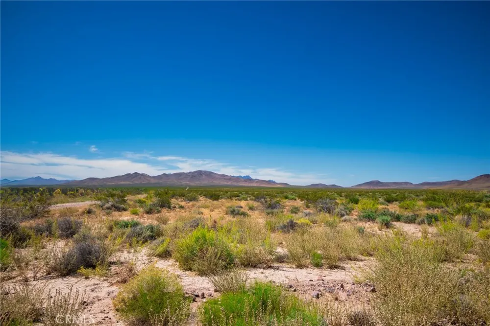 Mable Lane Tecopa, CA 92389