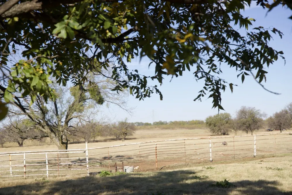 6172 FM 1769 Graham, TX 76450