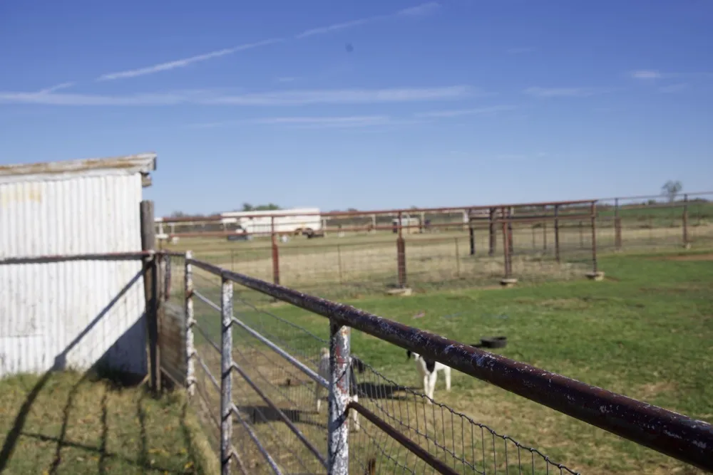 6172 FM 1769 Graham, TX 76450