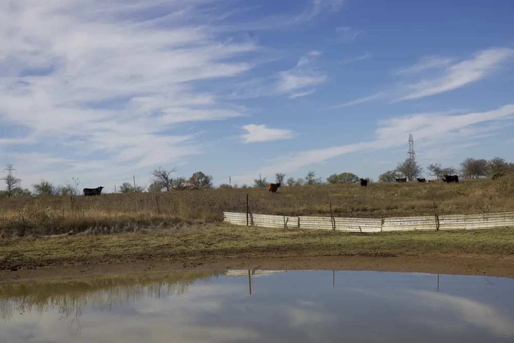 6172 FM 1769 Graham, TX 76450
