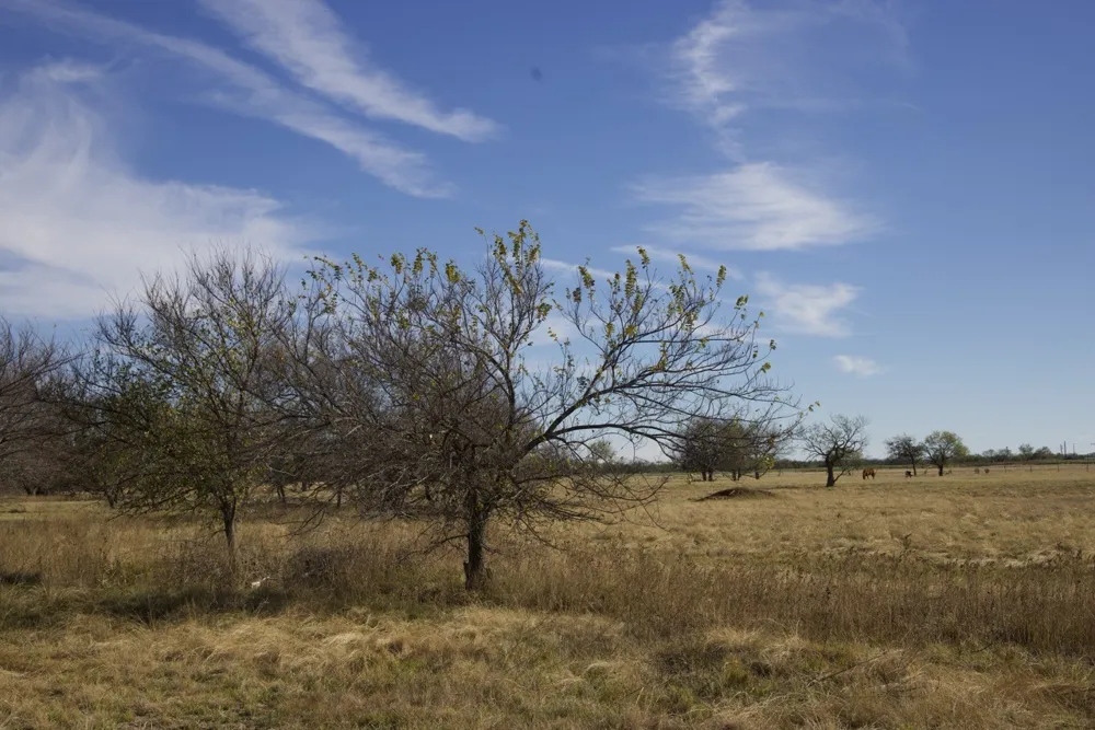 6172 FM 1769 Graham, TX 76450
