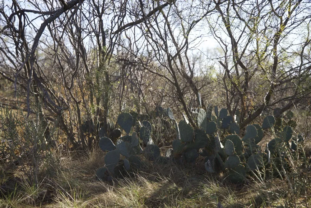 6172 FM 1769 Graham, TX 76450