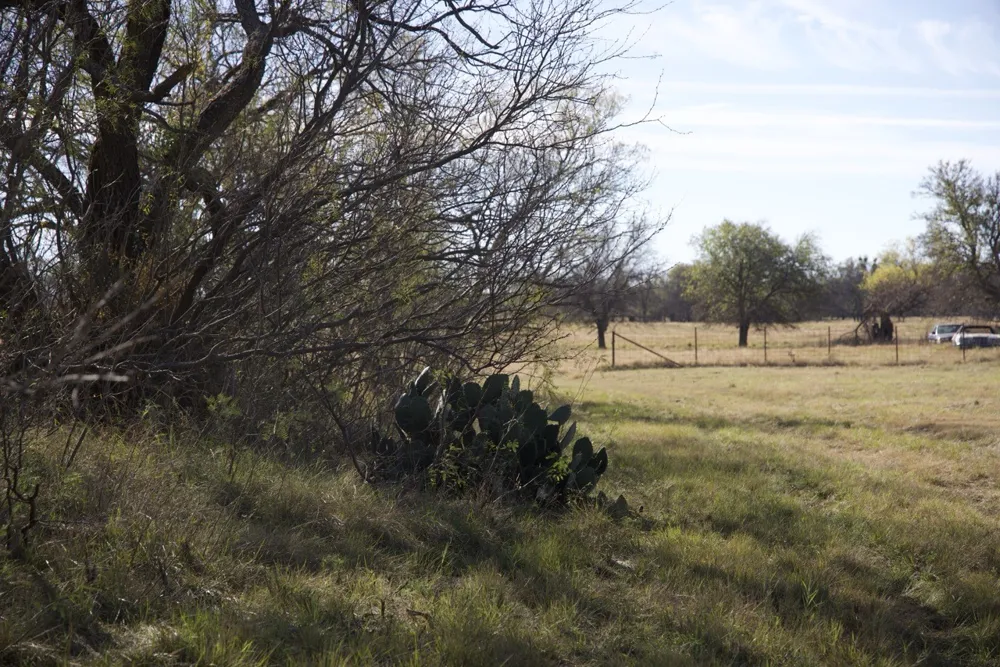 6172 FM 1769 Graham, TX 76450