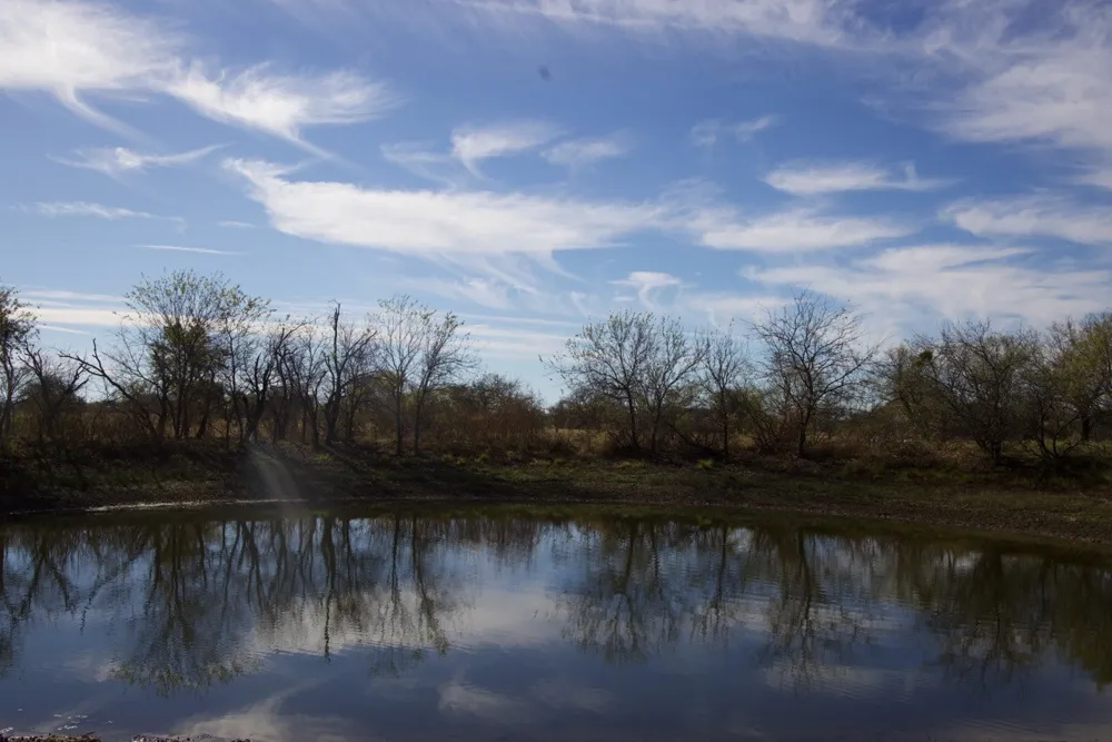 6172 FM 1769 Graham, TX 76450