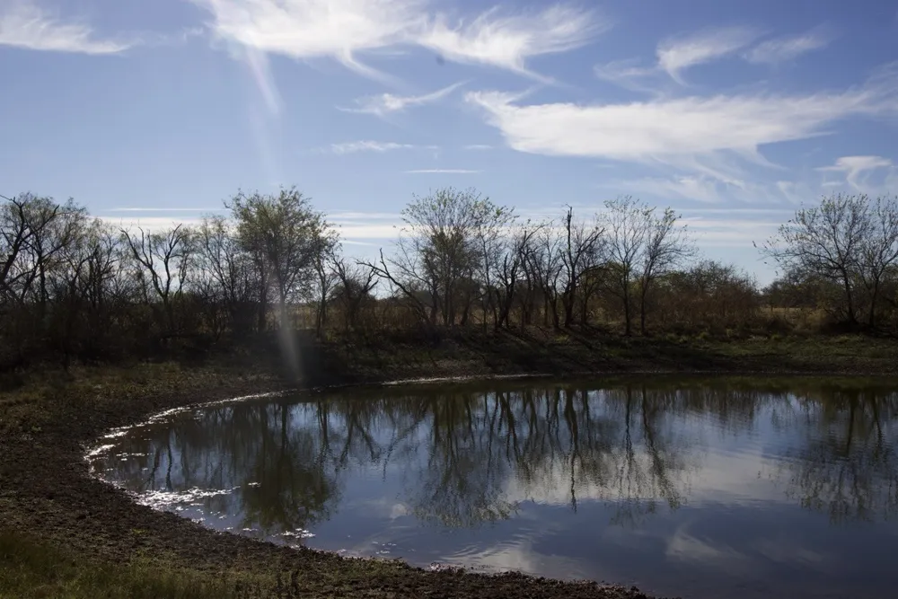 6172 FM 1769 Graham, TX 76450