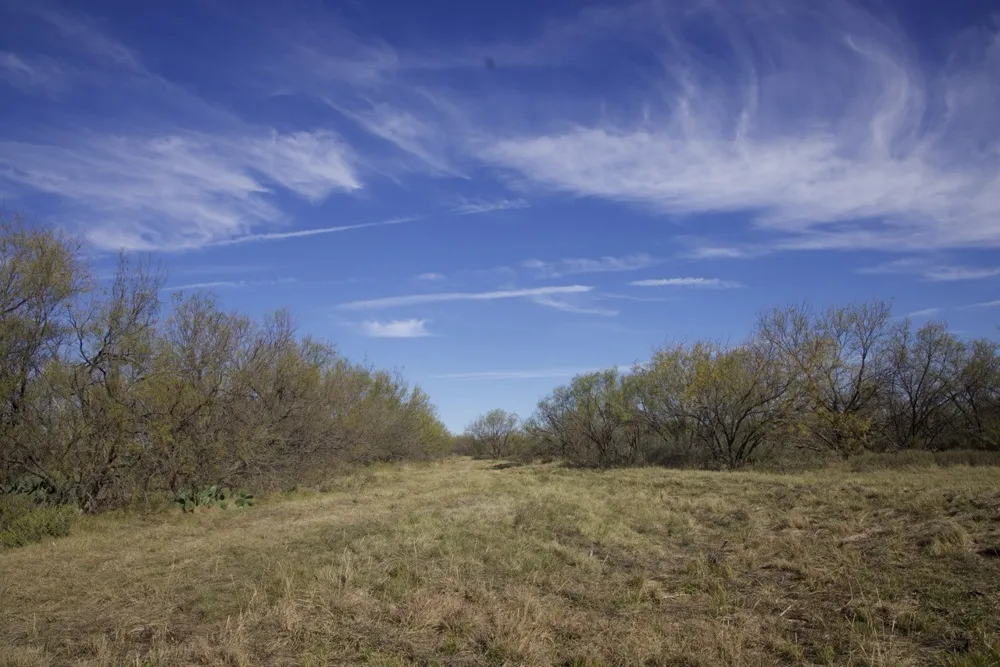 6172 FM 1769 Graham, TX 76450