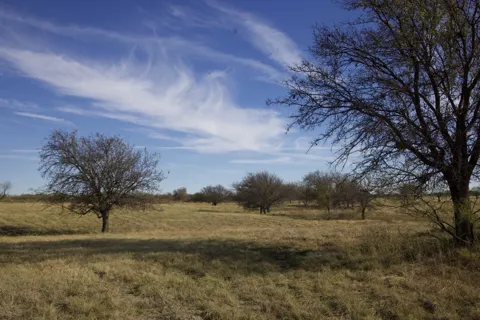 6172 FM 1769