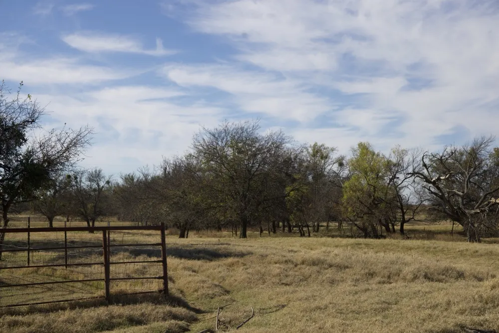 6172 FM 1769 Graham, TX 76450