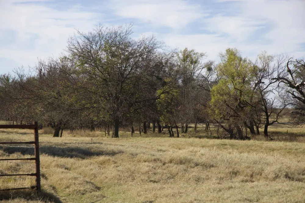 6172 FM 1769 Graham, TX 76450
