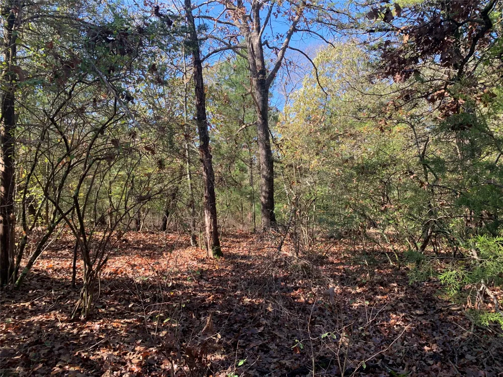 905 W Cayuga Drive Athens, TX 75751