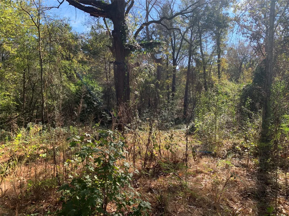 905 W Cayuga Drive Athens, TX 75751