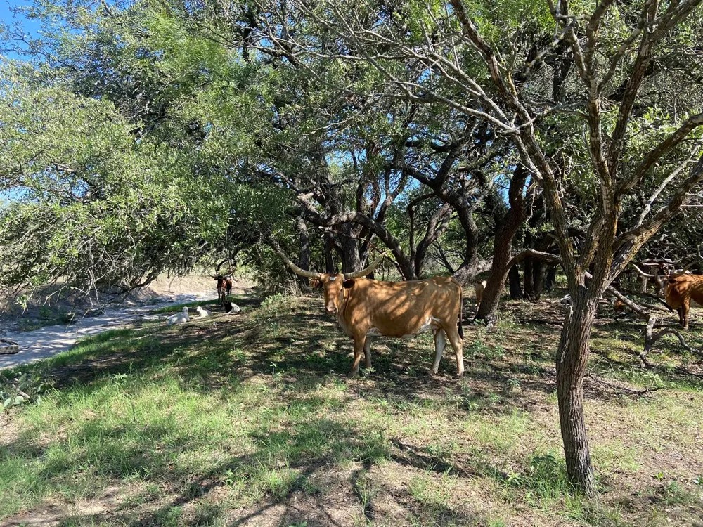 91 State Highway 16 S Goldthwaite, TX 76844