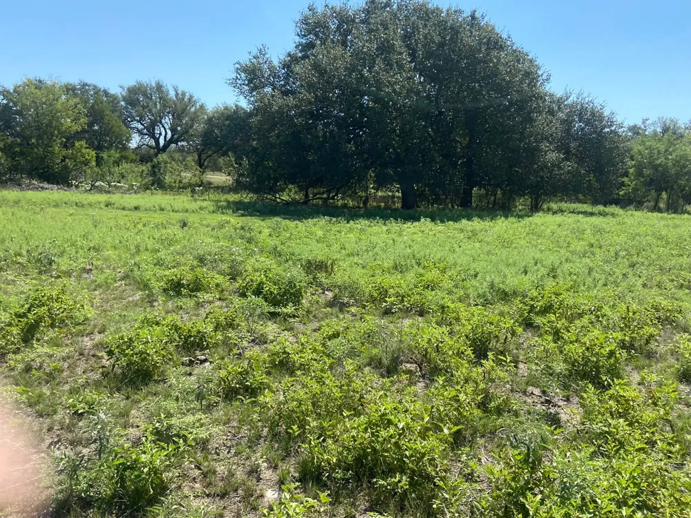 91 State Highway 16 S Goldthwaite, TX 76844