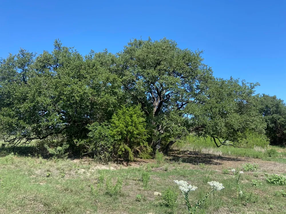 91 State Highway 16 S Goldthwaite, TX 76844