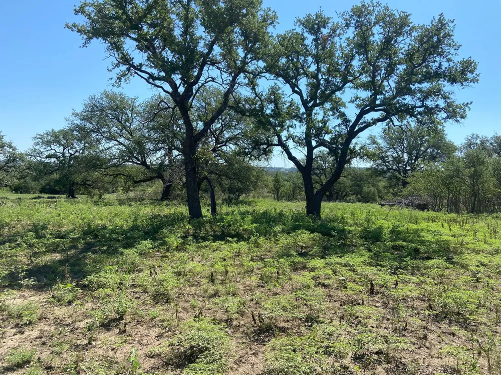 91 State Highway 16 S Goldthwaite, TX 76844